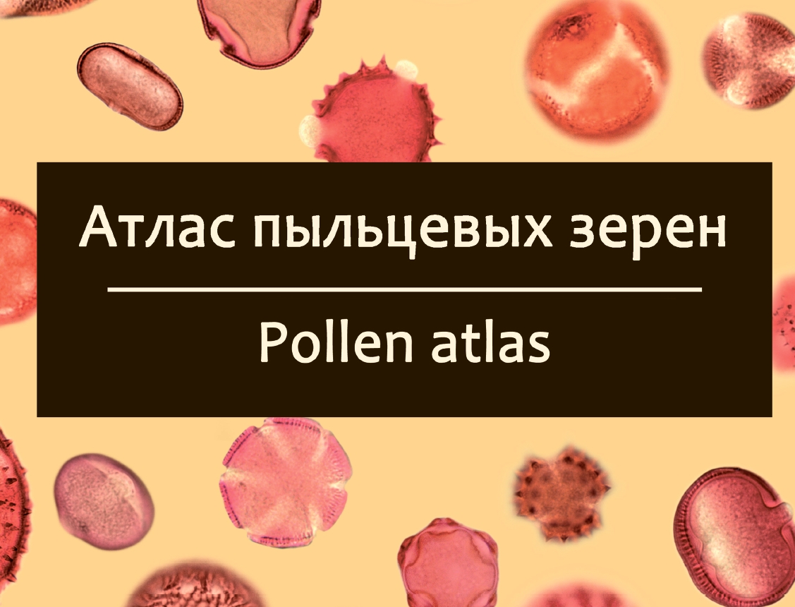 Атлас пыльцевых зерен Pollen Atlas