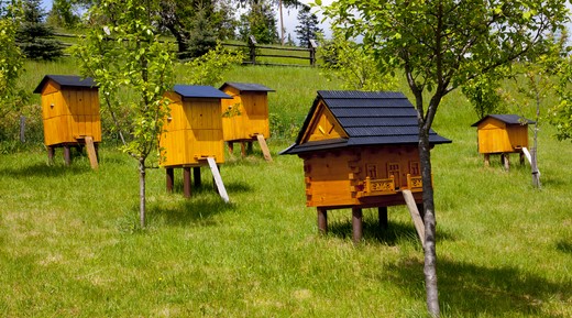 Пчеловодство Германии