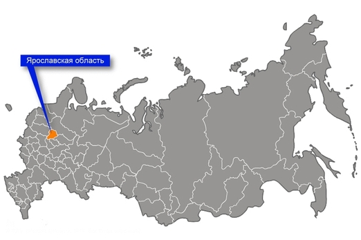 Ярославская область, бортевой мед, племенная ценность пчел Ярославская область, бортевой мед, племенная ценность пчел
