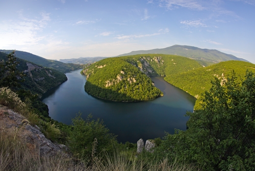Босния и Герцеговина: Восстановление пчеловодства продолжается