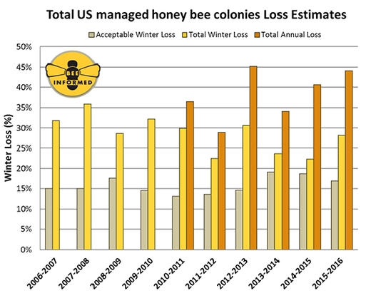 Гибель пчел в США продолжает расти