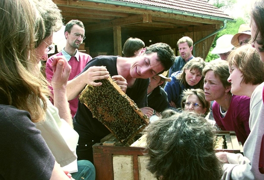 пчеловодство Германии, «Настоящий германский мед», Intertec, OSI