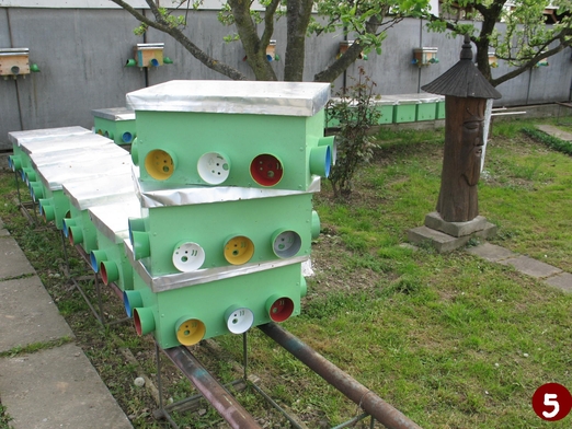 карпатские пчелы, Мукачево, конференция, 2016, Украина