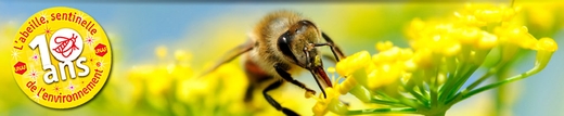 Программа защиты пчел во Франции