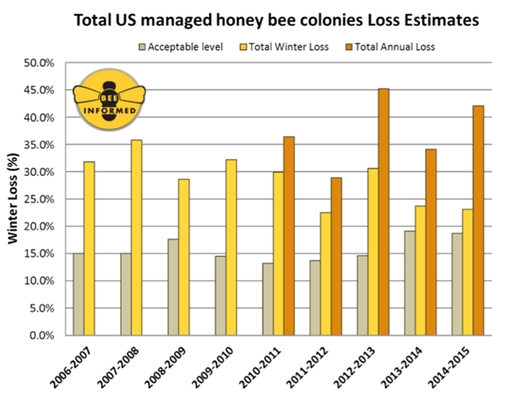 Гибель медоносных пчел в США приближается к 50%