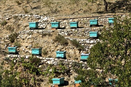 Пчеловодство Португалии