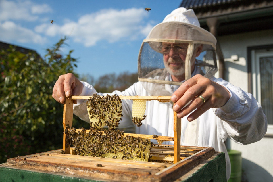 Инновационные технологии и средства механизации в пчеловодстве