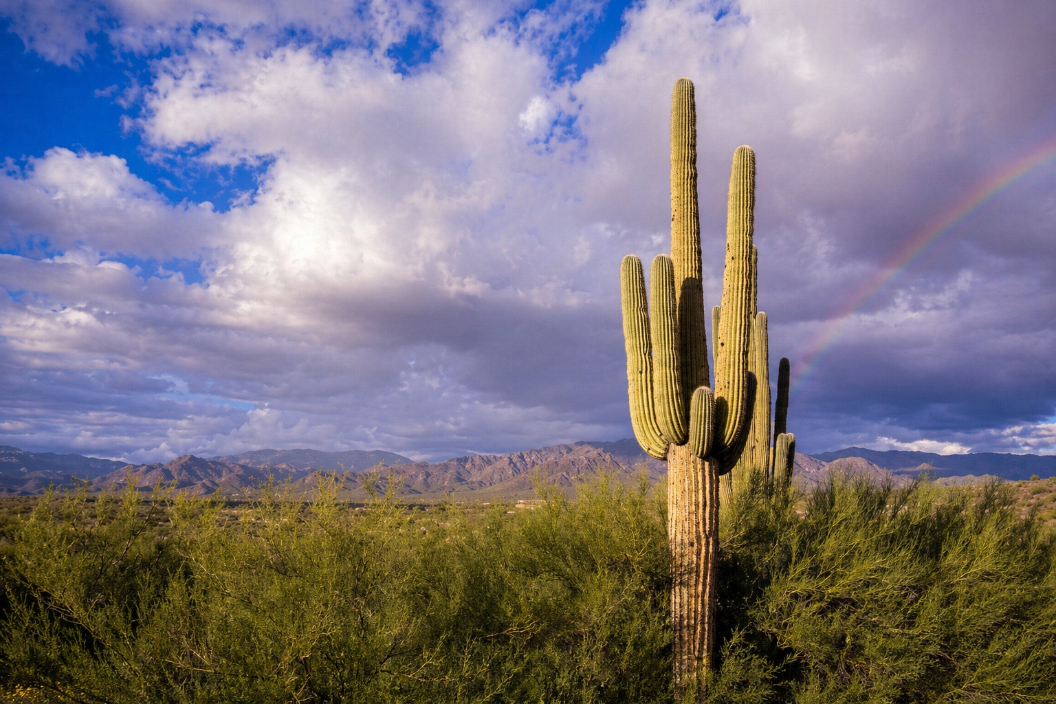 Пчеловодство Мексики. Новый состав правления Национального союза ассоциаций пчеловодов