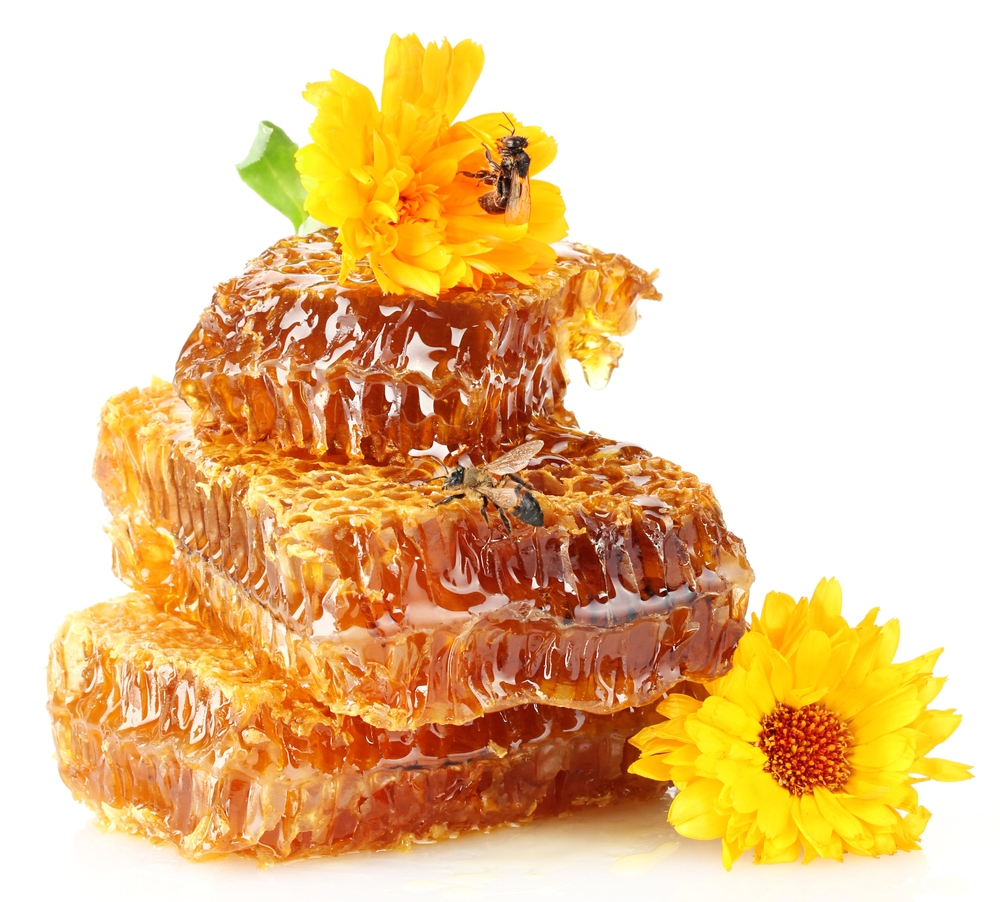 Антибактериальные свойства меда Антибактериальные свойства меда