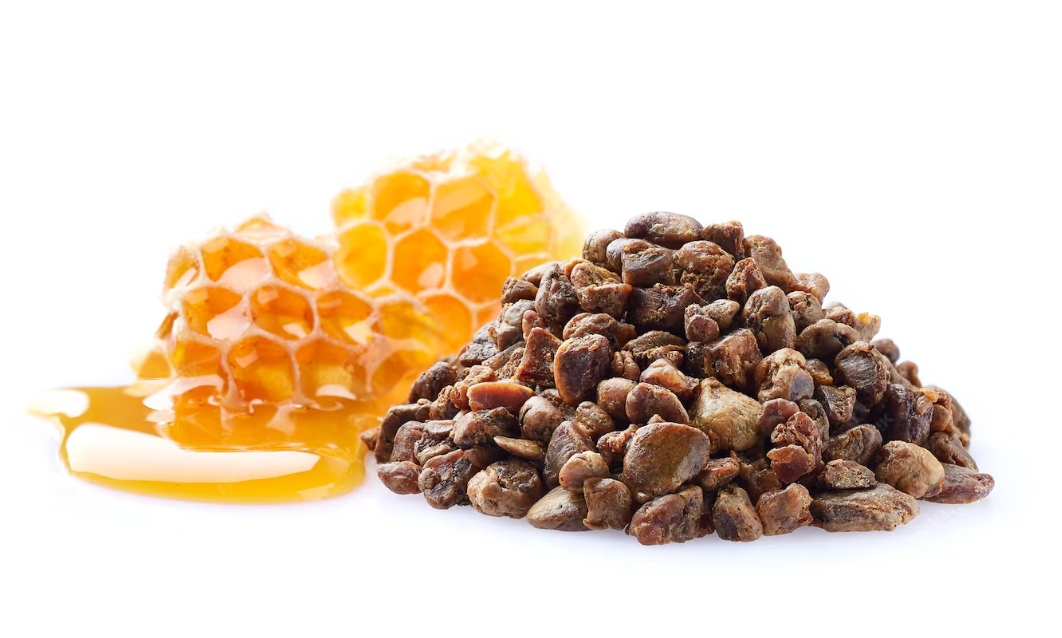 Прополис в комплексном лечении туберкулеза легких