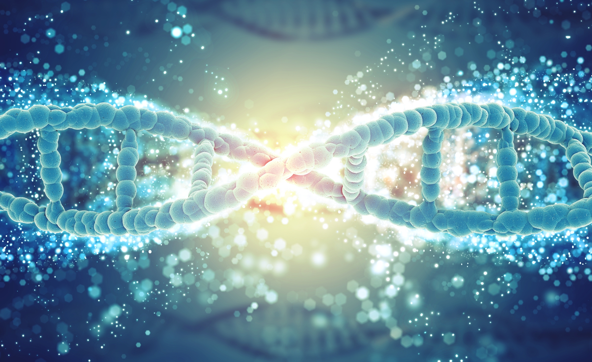 Генно-модифицированные пчелы становятся реальностью
