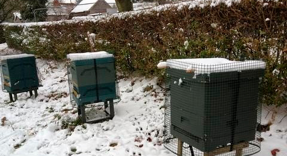 Рекордно низкие потери пчелосемей в Великобритании в зимовку 2018/2019