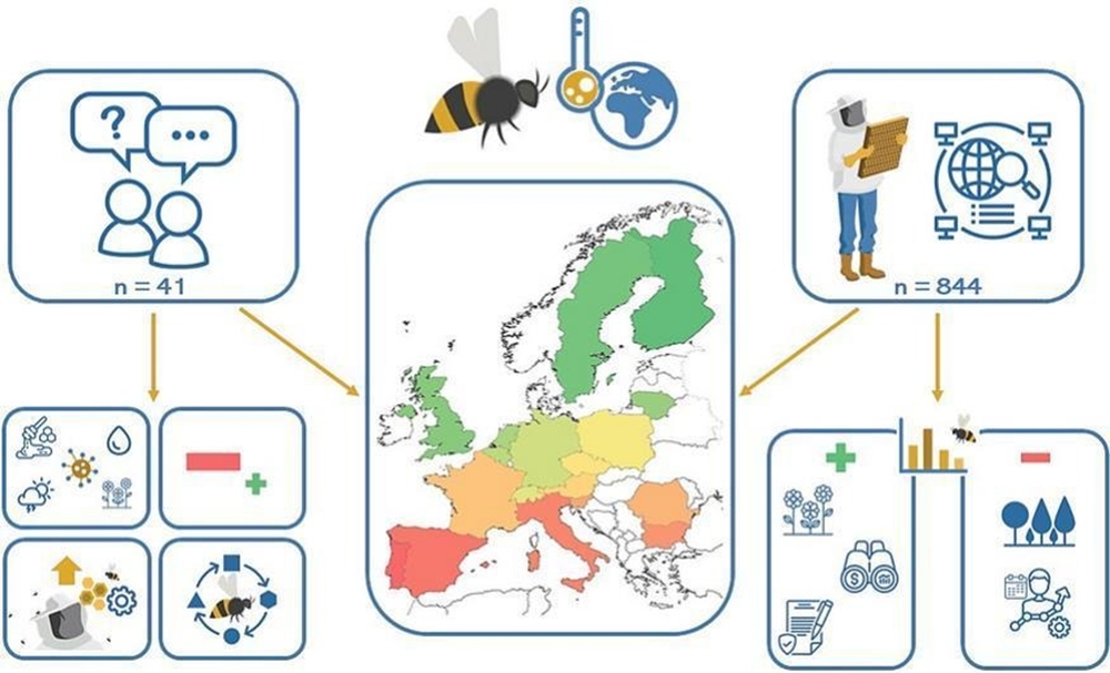 Изменение климата обостряет проблемы пчеловодства Европы