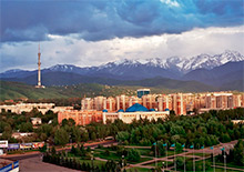 Перспективы апитерапии в Казахстане