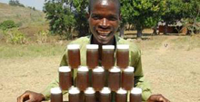 Развитие пчеловодства в Зимбабве