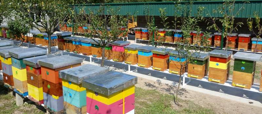 Пчеловодство Сербии в 2018 году