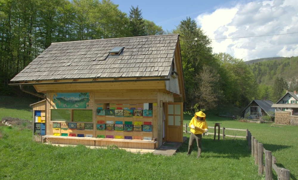 Пчеловодство Словении – пример для пчеловодных держав