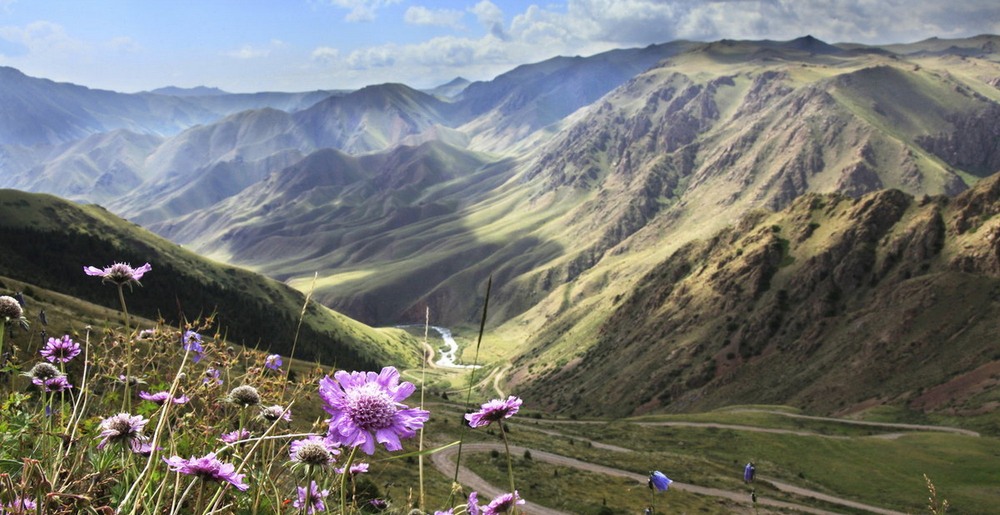 Пчеловодство Киргизии в цифрах и фактах