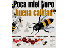Пчеловодство Никарагуа и других стран Центральной Америки 