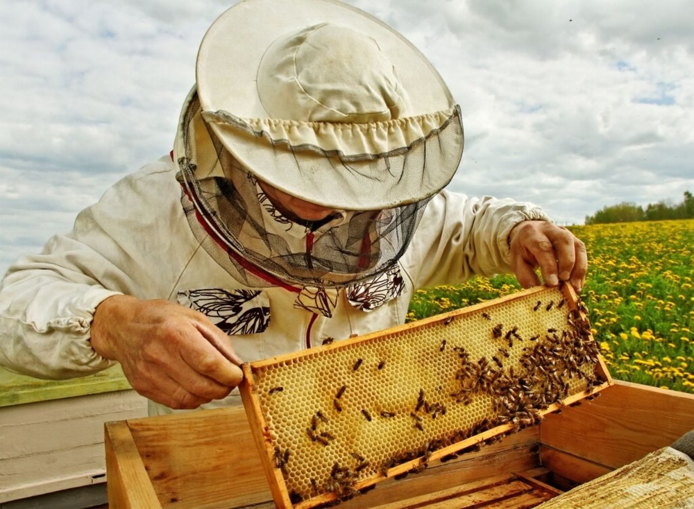 Союз пчеловодов Иркутской области
