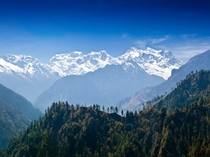 Производство меда в Гималайском Гиндукуше