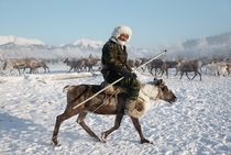 Особенности развития пчеловодства в республике Саха (Якутия)