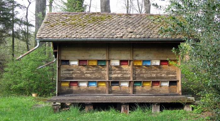 Пчеловодство Швейцарии в цифрах и фактах