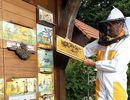 Пчеловодство Словении в 2014 году