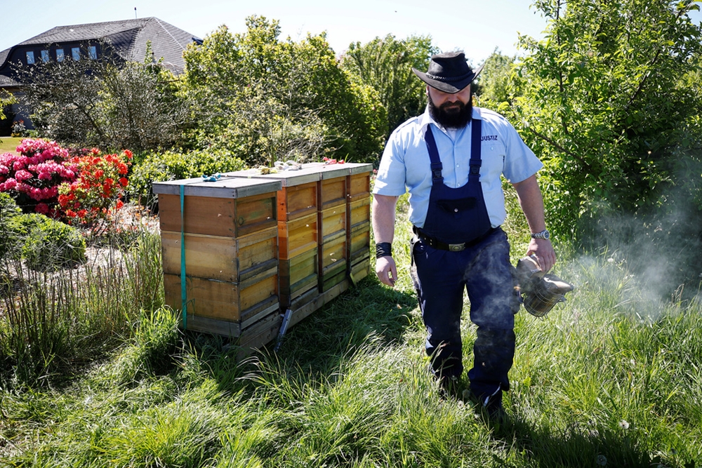 Количество пчелиных семей в мире продолжает расти, но не везде