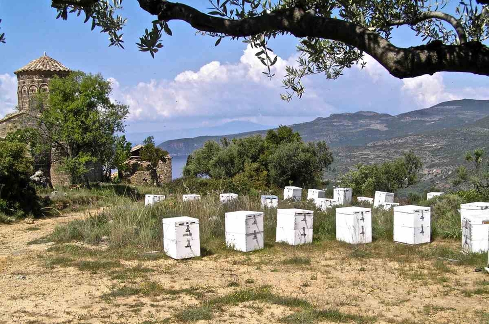 Пчеловодство Греции в цифрах и фактах