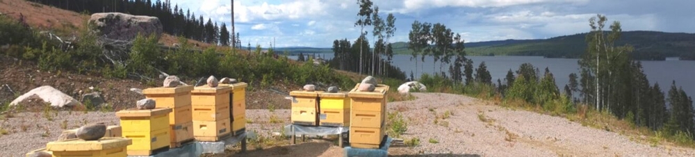 В Швеции продолжает расти интерес к пчеловодству