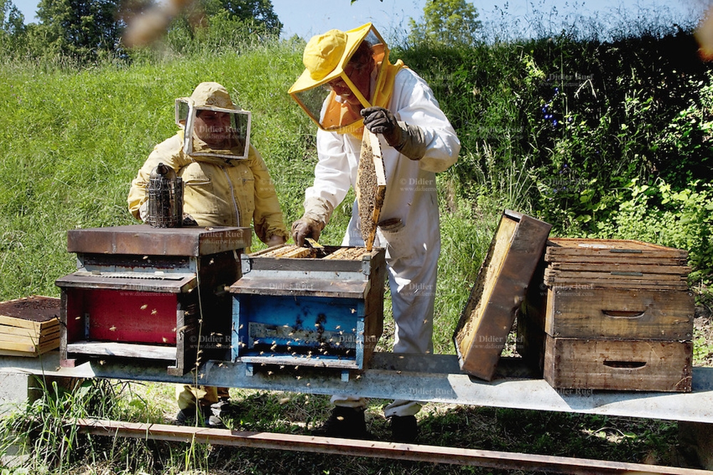Пчеловодство Швейцарии