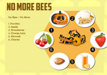 Программы защиты пчел в США