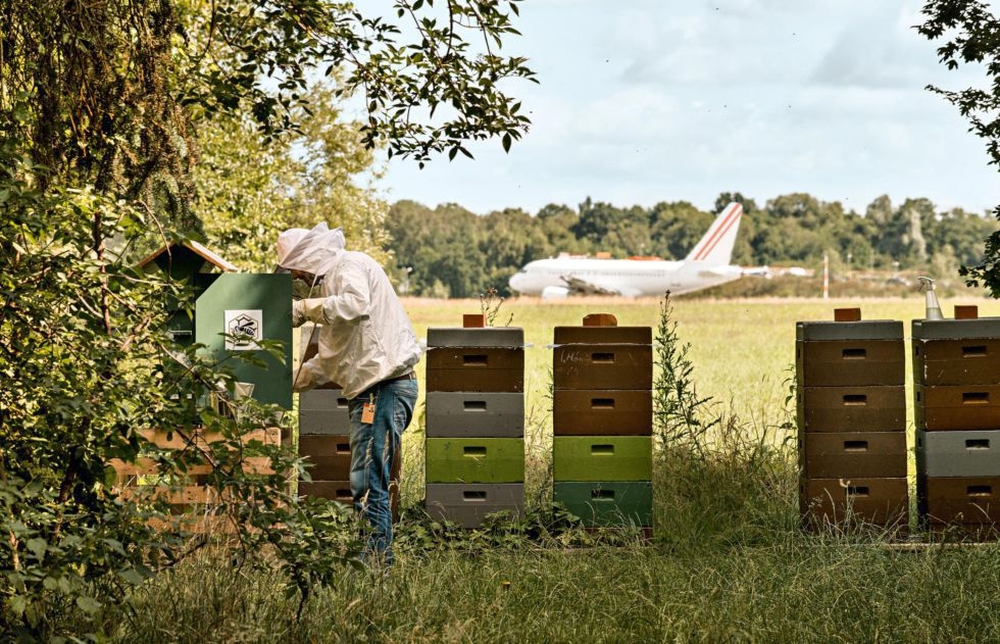 Пчеловодство и медовая индустрия Германии