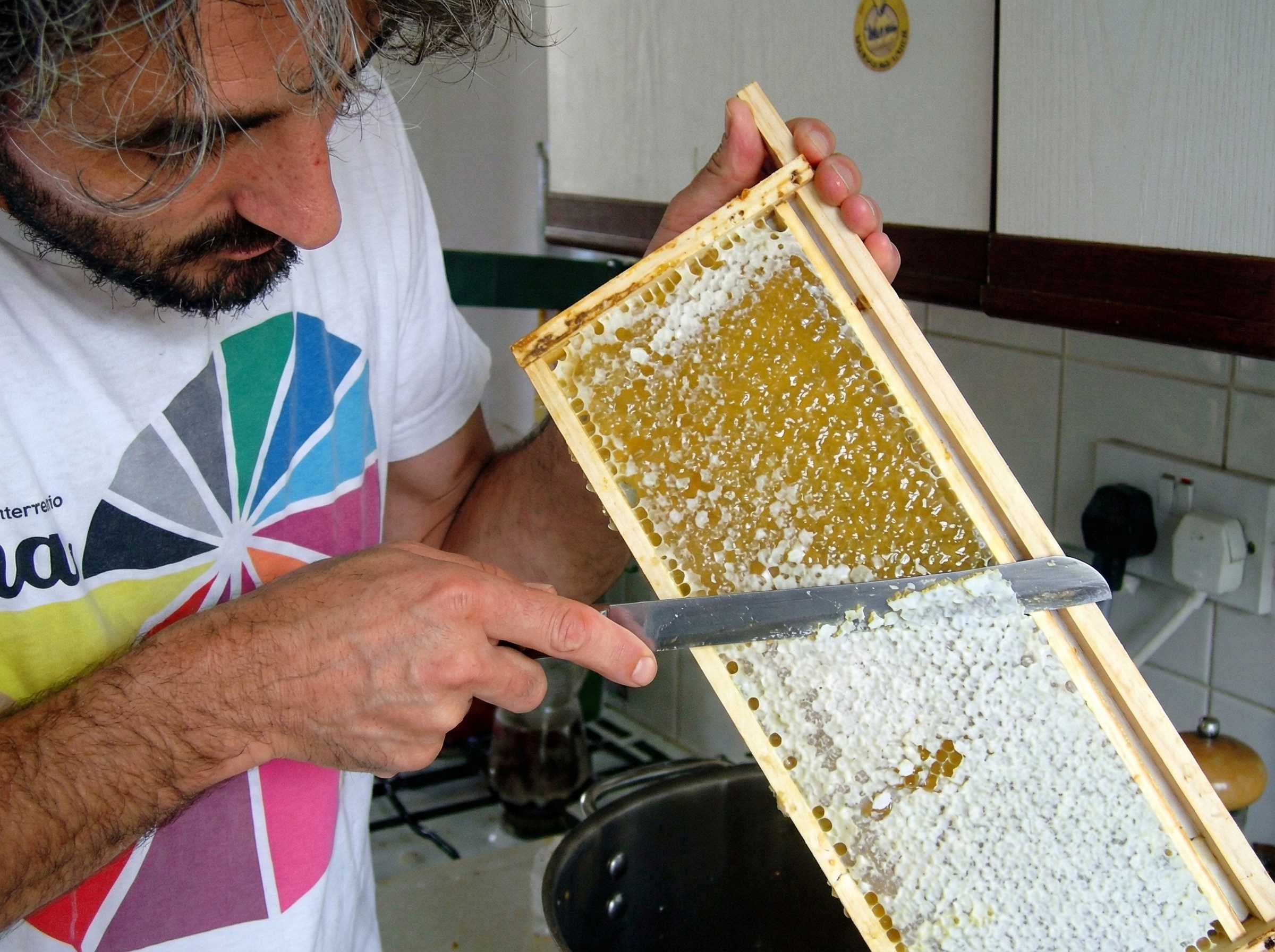 Пчеловодство Кубы в 2014 году 