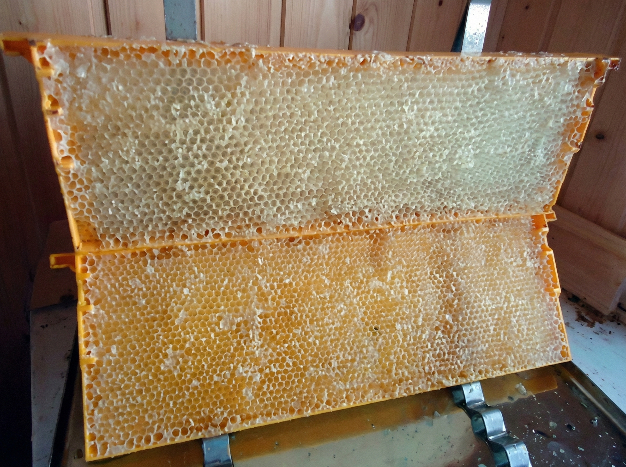 Биодинамическое пчеловодство