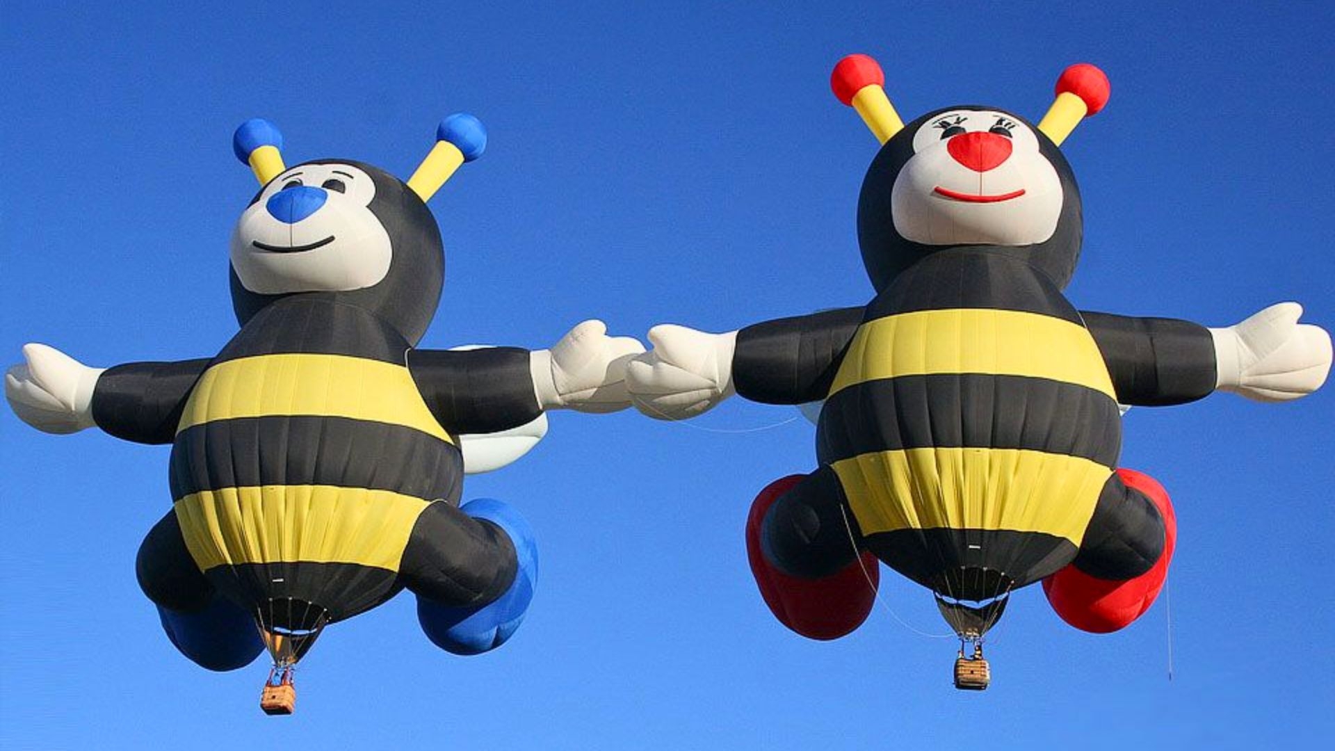 День медоносной пчелы в США