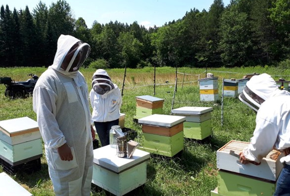Пчеловодство Канады в 2021 году