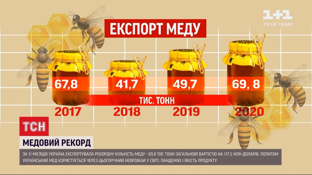 Украина обновила свой рекорд по экспорту меда