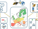 Изменение климата обостряет проблемы пчеловодства Европы