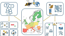 Изменение климата обостряет проблемы пчеловодства Европы