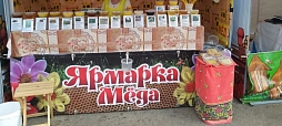 В Московской области продолжают оказывать поддержку пчеловодству