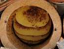 Особенности пчеловодства Саудовской Аравии