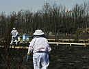 Экстремальная засуха и жара обрушили пчеловодство Испании