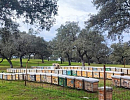 Аномалии климата разрушают основы пчеловодства Испании