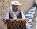 В Афганистане растет производство меда