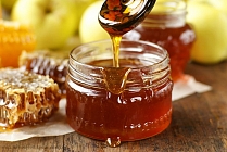 Башкирия на мировом рынке меда Башкирия на мировом рынке меда