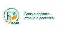 Количество пчелосемей во всех категориях хозяйств России Количество пчелосемей во всех категориях хозяйств России