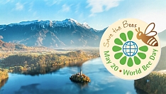 Международная конференция в Словении по случаю «Всемирного дня пчелы»