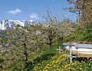 Пчеловодство Норвегии в цифрах